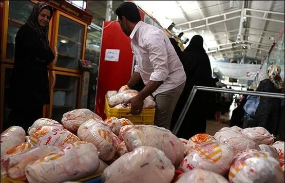 ارسال ۱۴۰۰ تن مرغ مازاد از همدان به سایر استان‌ها
