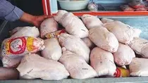کشف ۳۰۰۰ کیلوگرم مرغ قاچاق و غیربهداشتی در شوش