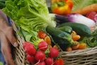 اگر سبزی نخوریم چه بلایی سرمان می آید؟