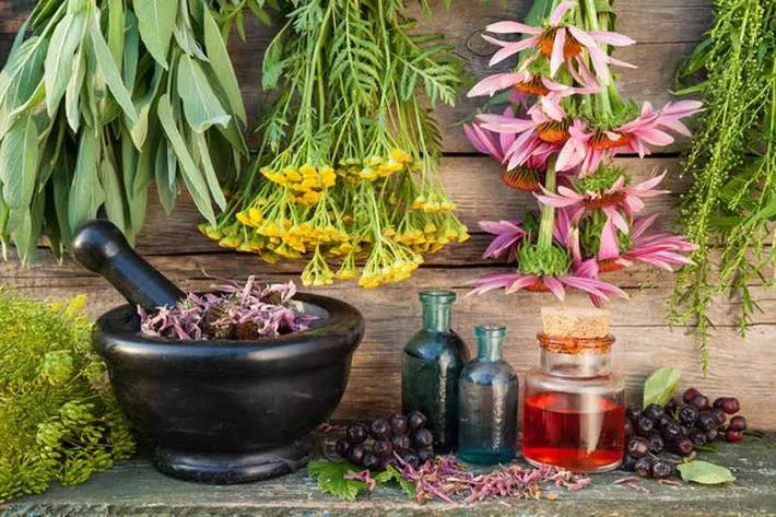 شربت‌ های طب‌ سنتی برای جلوگیری از گرمازدگی