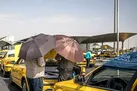 افزایش دمای هوا در برخی نقاط کشور