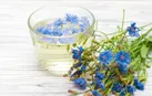 ببینید | باور غلط در مورد عرق کاسنی