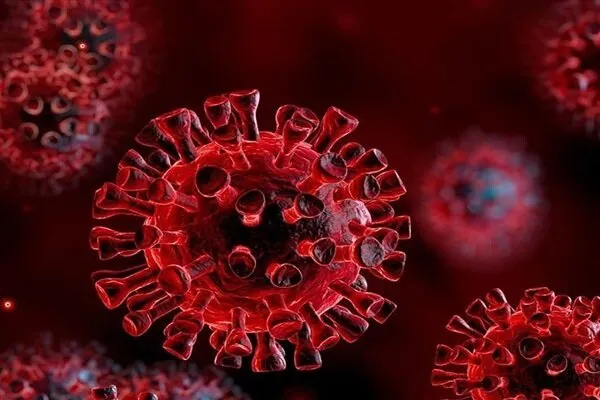داروی کاهش تری گلیسیرید در بهبود علائم کووید ۱۹ موثر است