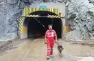 سنگ یادبود به جای جست‌وجو