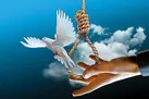 ۱۱ محکوم به قصاص در گلستان بخشیده شدند