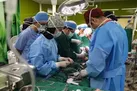 فقط ریه یک بیمار از ۱۰ مورد مرگ مغزی برای پیوند مناسب است