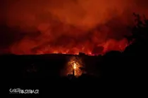 گزارش تصویری | آتش سوزی در یونان