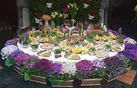 حال و هوای بهاری شیراز در آستانه سال نو