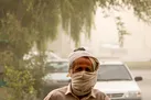 وزش باد شدید در نیمه جنوبی کشور |از پارک خودروها کنار درختان کهنسال خودداری شود