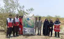 کاشت نهال در سواحل کنارک
