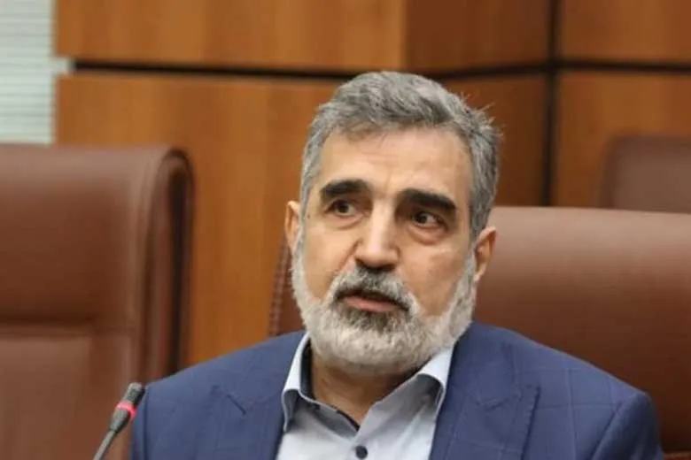 واکنش کمالوندی به گزارش جدید آژانس بین‌المللی انرژی اتمی