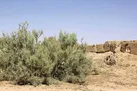 پاییز خشک در راه است