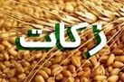 نیکوکاران یزدی 34 میلیارد تومان زکات دادند