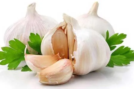 مصرف چه مقدار از سیر کرونا را درمان می کند؟
